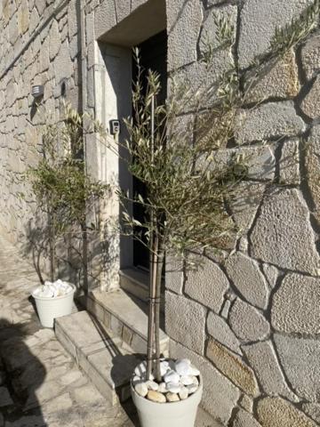 Afytos Sea View Apartment Exterior photo